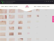 Tablet Screenshot of apexdspa.com
